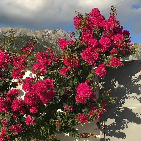 61 Sea And Sunset View דירה *