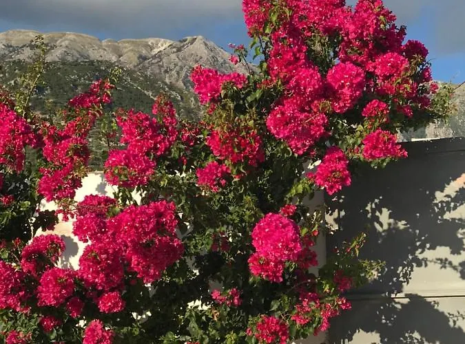 61 Sea And Sunset View 아파트 *